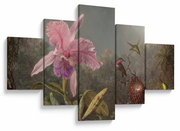 Obraz - Martin Johnson Heade, Cattleya Orchid and Three Hummingbirds, reprodukce (125x70 cm)