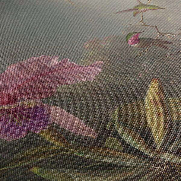 Obraz - Martin Johnson Heade, Cattleya Orchid and Three Hummingbirds, reprodukce (70x50 cm)