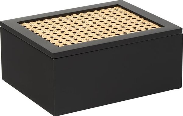 Úložný box s vídeňskou pleteninou Carina