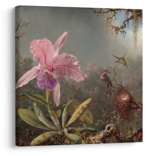 Obraz - Martin Johnson Heade, Cattleya Orchid and Three Hummingbirds, reprodukce (30x30 cm)