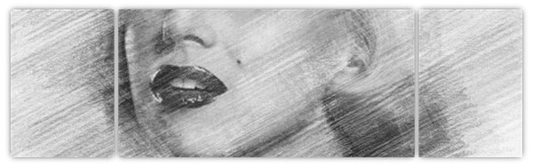 Obraz - Portrén Merilyn Monroe (170x50 cm)