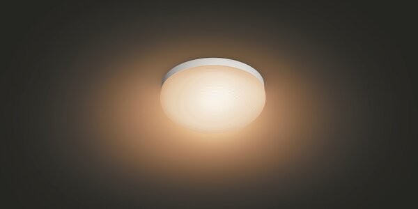 Hue WACA Flourish stropní LED svítidlo 1x32,5W 2250lm 2000-6500K RGB IP20 35,9cm bílá