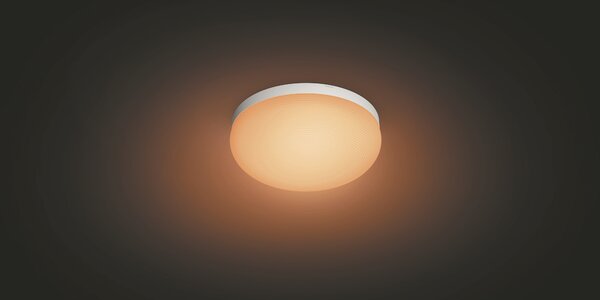 Hue WACA Flourish stropní LED svítidlo 1x32,5W 2250lm 2000-6500K RGB IP20 35,9cm bílá