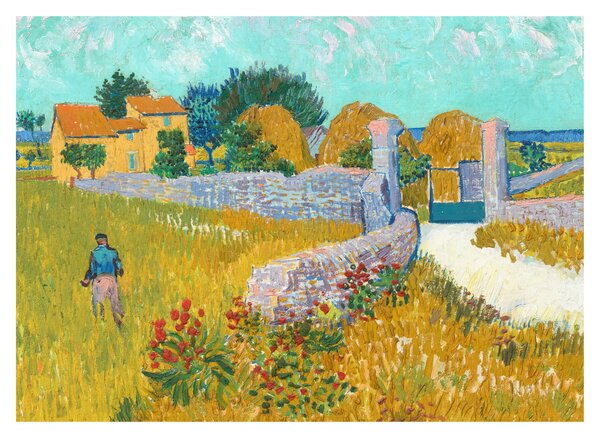 Obraz - Vincent van Gogh, Farmhouse in Provence, reprodukce (70x50 cm)