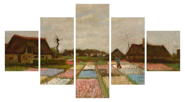 Obraz - Vincent van Gogh, Flower Beds in Holland, reprodukce (125x70 cm)