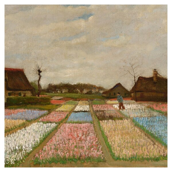 Obraz - Vincent van Gogh, Flower Beds in Holland, reprodukce (30x30 cm)