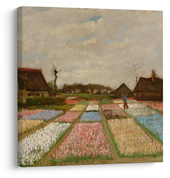 Obraz - Vincent van Gogh, Flower Beds in Holland, reprodukce (30x30 cm)