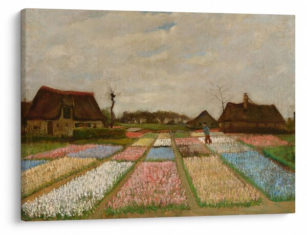 Obraz - Vincent van Gogh, Flower Beds in Holland, reprodukce (70x50 cm)