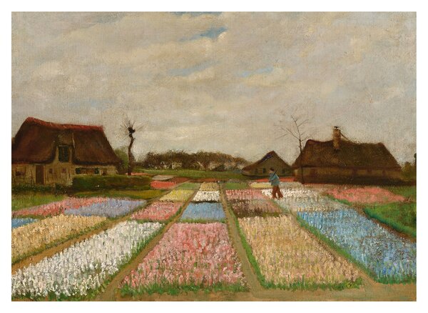 Obraz - Vincent van Gogh, Flower Beds in Holland, reprodukce (70x50 cm)
