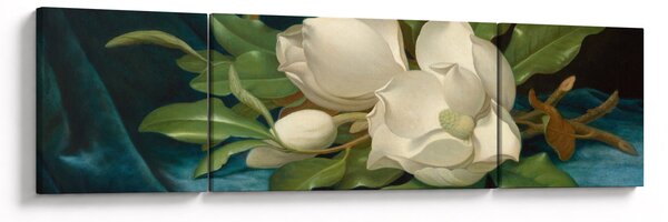 Obraz - Martin Johnson Heade, Giant Magnolias on a Blue Velvet Cloth, reprodukce (170x50 cm)