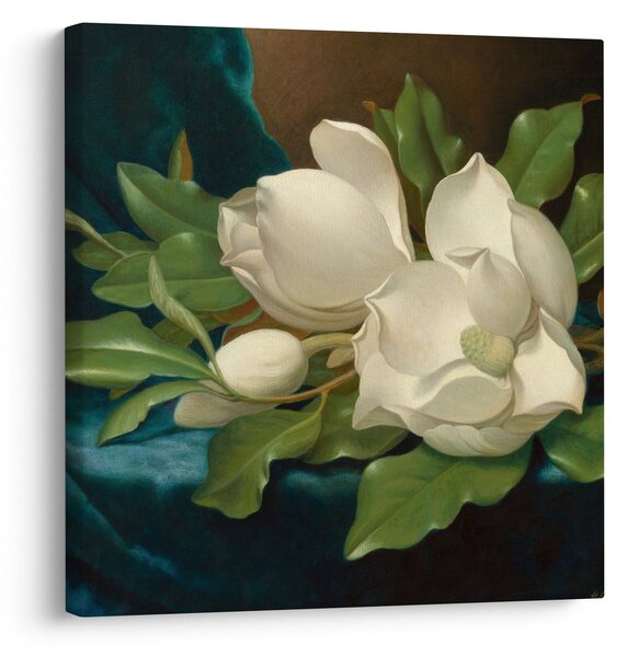 Obraz - Martin Johnson Heade, Giant Magnolias on a Blue Velvet Cloth, reprodukce (30x30 cm)