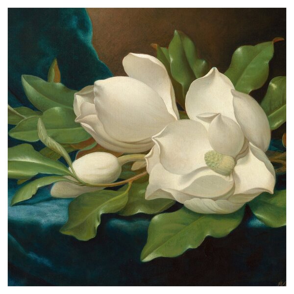 Obraz - Martin Johnson Heade, Giant Magnolias on a Blue Velvet Cloth, reprodukce (30x30 cm)