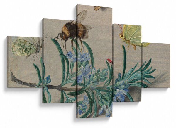 Obraz - Jan van Kessel the Elder, Insects and a Sprig of Rosemary, reprodukce (125x70 cm)