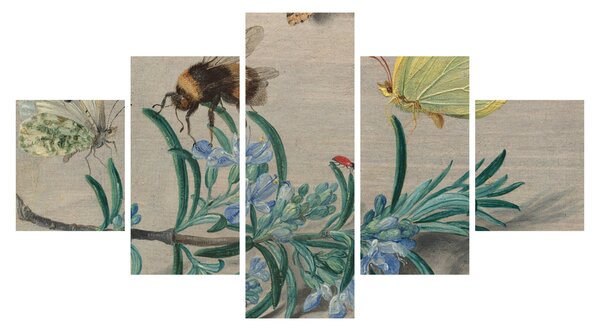 Obraz - Jan van Kessel the Elder, Insects and a Sprig of Rosemary, reprodukce (125x70 cm)