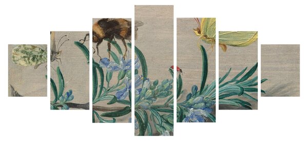 Obraz - Jan van Kessel the Elder, Insects and a Sprig of Rosemary, reprodukce (210x100 cm)