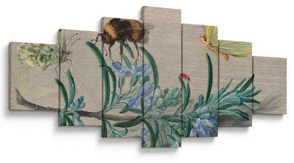 Obraz - Jan van Kessel the Elder, Insects and a Sprig of Rosemary, reprodukce (210x100 cm)
