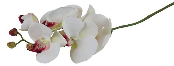 Umělá orchidej X4920-02 - 14 x 7 x 72 cm