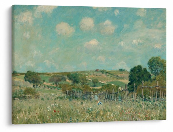 Obraz - Alfred Sisley, Meadow, reprodukce (70x50 cm)