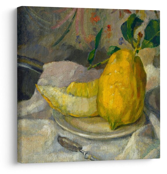 Obraz - French 19th Century, Melon and Lemon, reprodukce (30x30 cm)