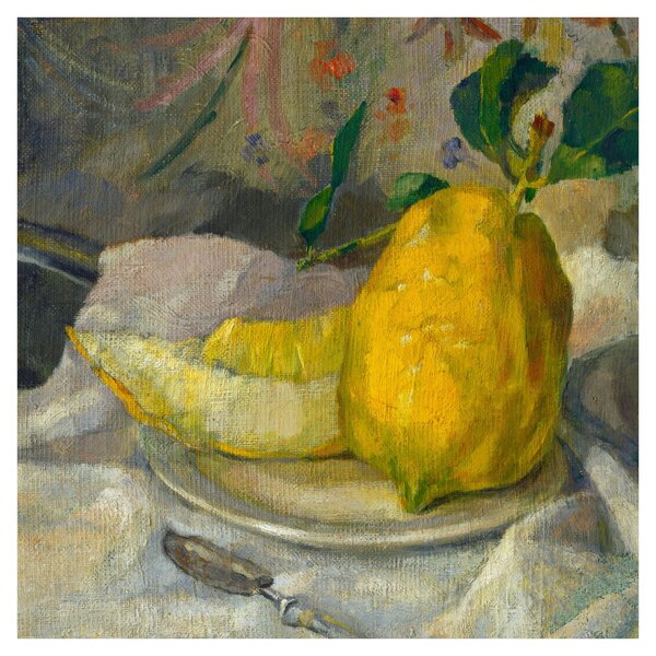 Obraz - French 19th Century, Melon and Lemon, reprodukce (30x30 cm)