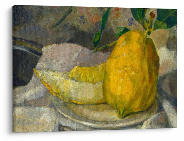 Obraz - French 19th Century, Melon and Lemon, reprodukce (70x50 cm)