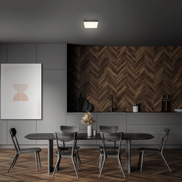 STROPNÍ LED SVÍTIDLO, 15,7/15,7/3,6 cm - Stropní svítidla