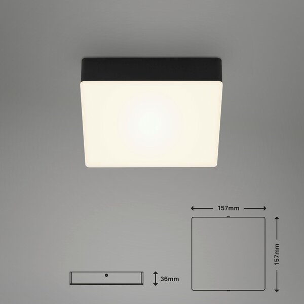 STROPNÍ LED SVÍTIDLO, 15,7/15,7/3,6 cm - Stropní svítidla