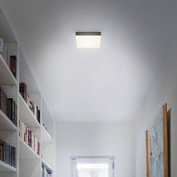 STROPNÍ LED SVÍTIDLO, 15,7/15,7/3,6 cm - Stropní svítidla
