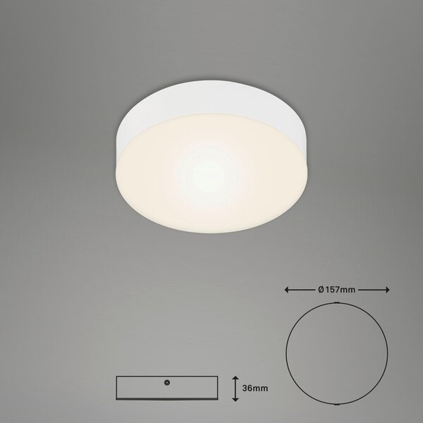 STROPNÍ LED SVÍTIDLO, 15,7/3,6 cm - Stropní svítidla