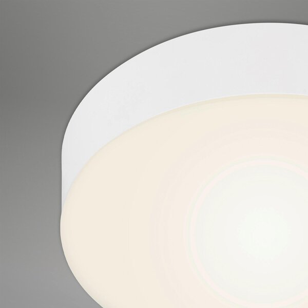 STROPNÍ LED SVÍTIDLO, 15,7/3,6 cm - Stropní svítidla