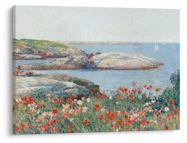 Obraz - Childe Hassam, Poppies, Isles of Shoals, reprodukce (70x50 cm)