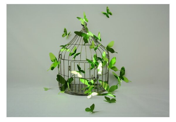 Sada 12 adhezivních 3D samolepek Ambiance Butterflies Green