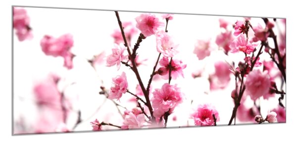 Obraz skleněný růžové květy švestky - 30 x 60 cm