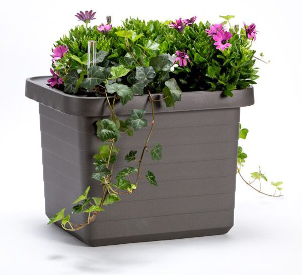 Samozavlažovací velkoobjemový truhlík Berberis UNO antracit 45 cm