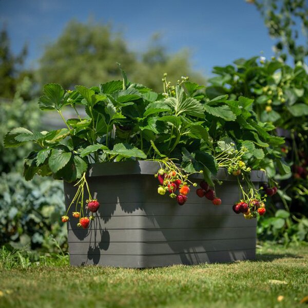 Samozavlažovací velkoobjemový truhlík Berberis DUO antracit 80 cm