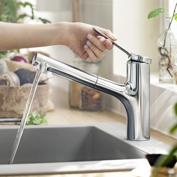 Hansgrohe Zesis M33 kuchyňská baterie stojící chrom 74800000