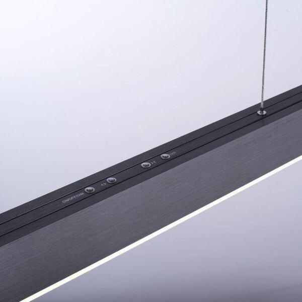 Paul Neuhaus Závěsné LED svítidlo PURE-MOTO, 3x13W, d. 120 cm, 2700-5000K, nastavitelné Barva: Zlatá