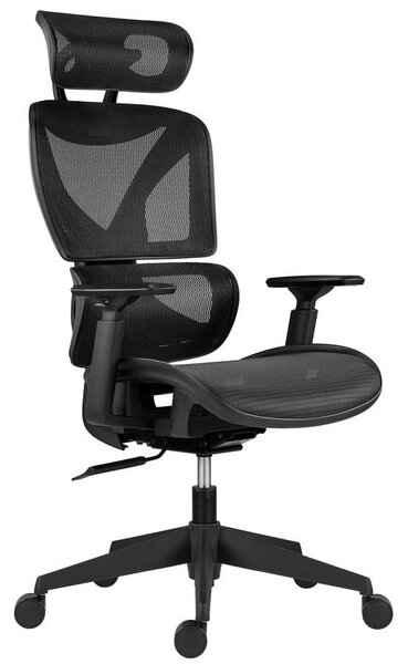 Rauman Kancelářská židle Ester - černá