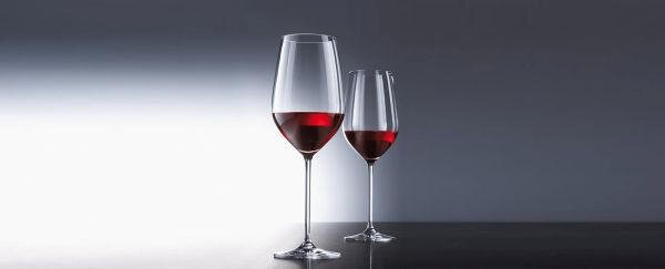 SKLENICE NA ČERVENÉ VÍNO Schott Zwiesel - Sklenice na červené víno