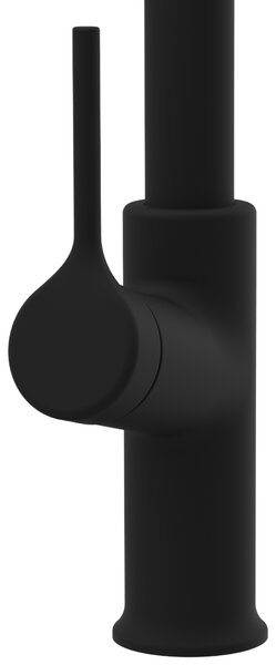Invena Farsala, dřezová baterie s výsuvnou 2-funkční výlevkou h-433, černá matná, INV-BZ-40-U04-S