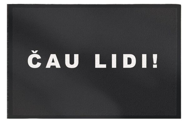GDmats, POSLEDNÍ ŠANCE: Rohožka Čau lidi 40x60 cm - na ven i na doma, 40x60, šedá