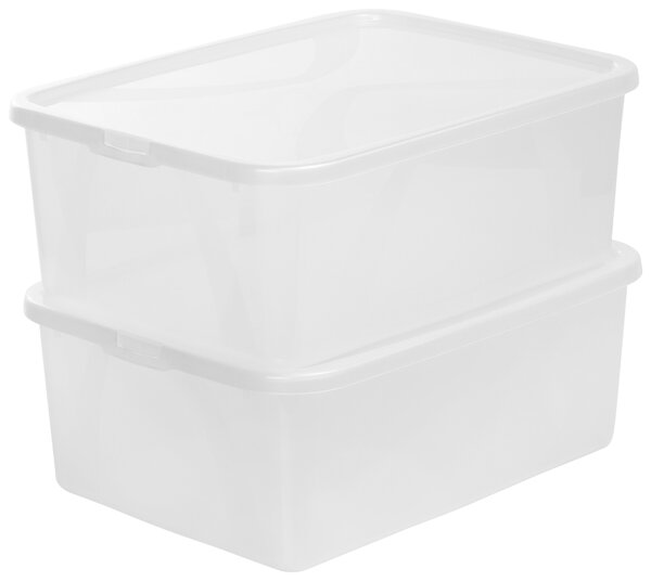 BOX S VÍKEM, 10 l Rotho