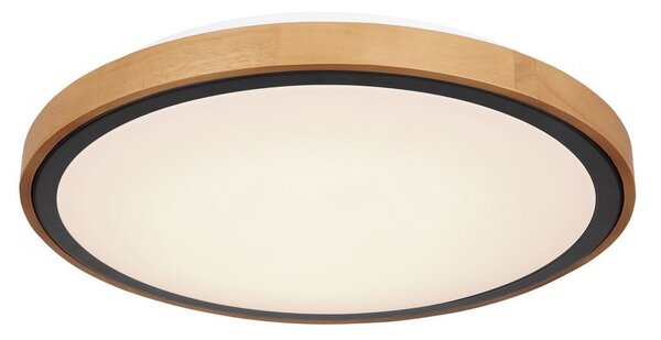 Globo 41764-24 LED stropní svítidlo Bruno 1x24W | 1000lm | 3000-4500-6000K - opál, černá, hnědá