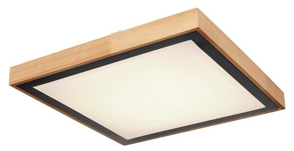 Globo 41764-24Q LED stropní svítidlo Bruno 1x24W | 1020lm | 3000-4500-6000K - opál, černá, hnědá