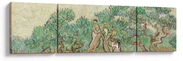 Obraz - Vincent van Gogh, The Olive Orchard, reprodukce (170x50 cm)