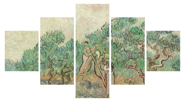 Obraz - Vincent van Gogh, The Olive Orchard, reprodukce (125x70 cm)
