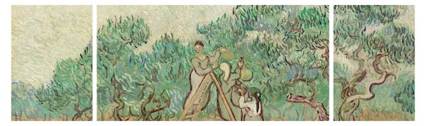 Obraz - Vincent van Gogh, The Olive Orchard, reprodukce (170x50 cm)