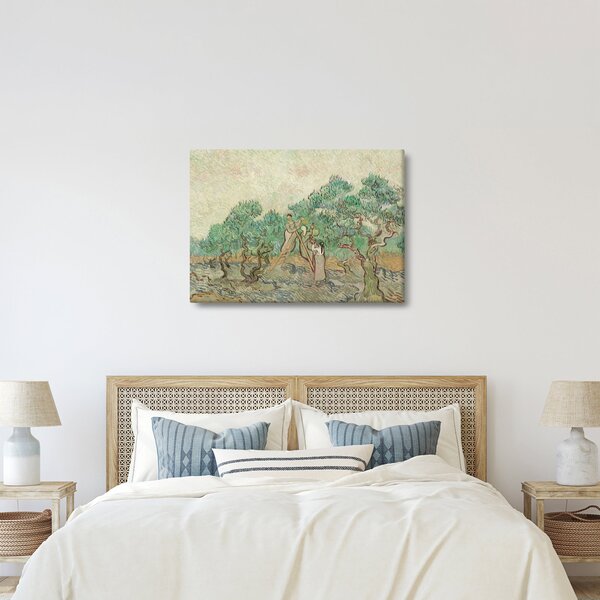Obraz - Vincent van Gogh, The Olive Orchard, reprodukce (70x50 cm)