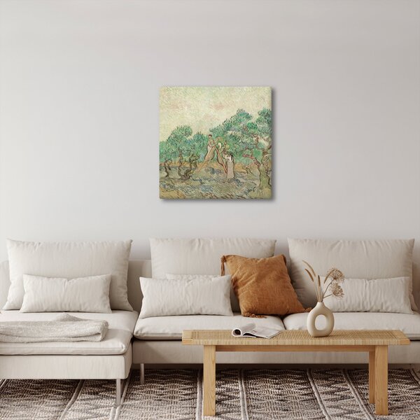 Obraz - Vincent van Gogh, The Olive Orchard, reprodukce (30x30 cm)