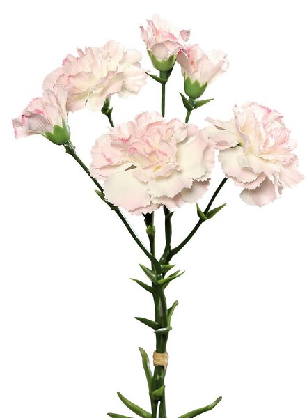 UMĚLÁ KVĚTINA karafiát 30 cm XXXL - Umělé květiny